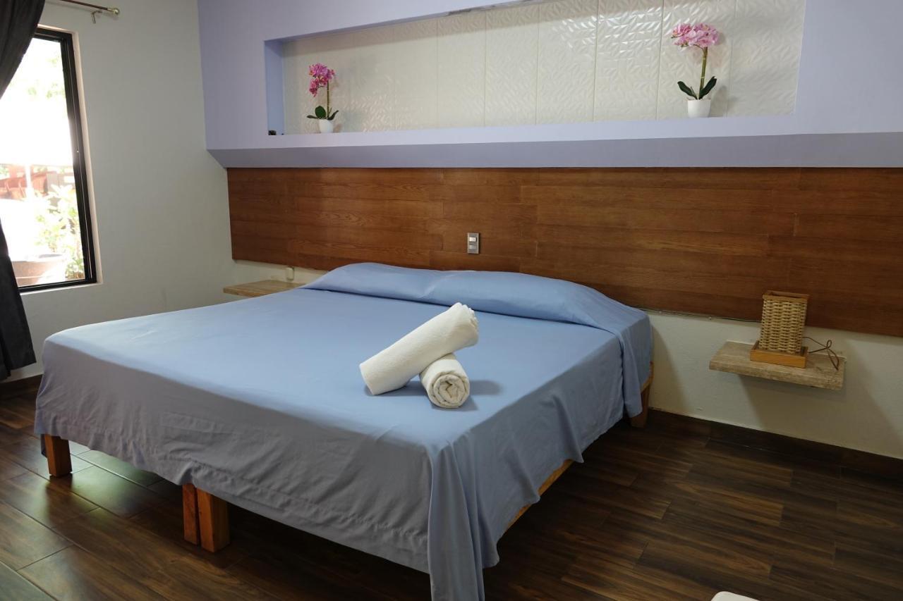 Hotel Posada Комала Экстерьер фото